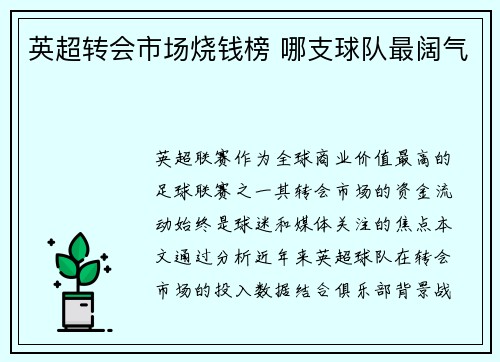 英超转会市场烧钱榜 哪支球队最阔气